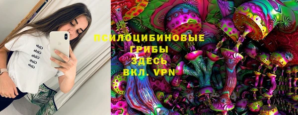 прущий лед Лиски