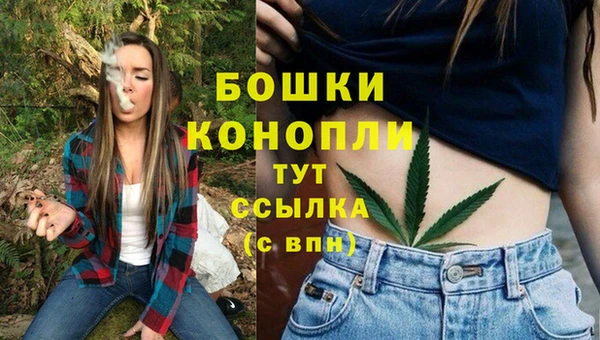 прущий лед Лиски