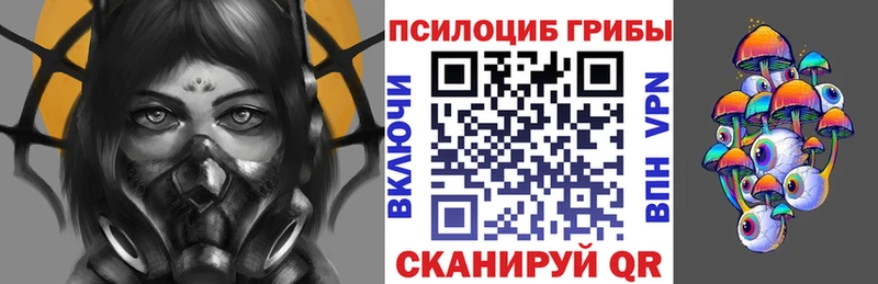 Купить  Колпашево  Псилоцибиновые грибы Magic Shrooms 